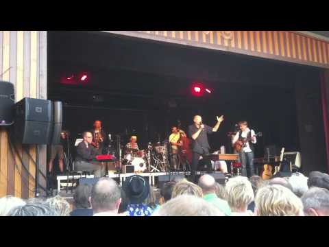 Willi Resetarits + Stubnblues - BRODASCHBIAGLGALARII live