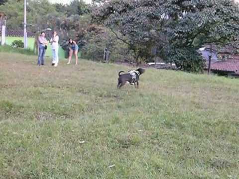 otoniel  P1262765.MOV