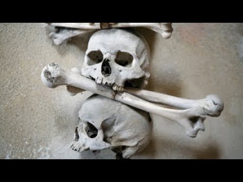 Kutná Hora Day Trip from Prague