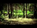 Димна Суміш - РокнРолл 