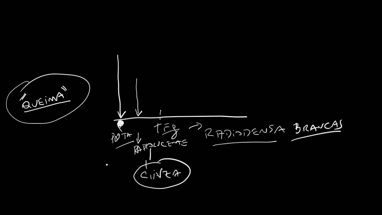 Fundamentos da Mamografia