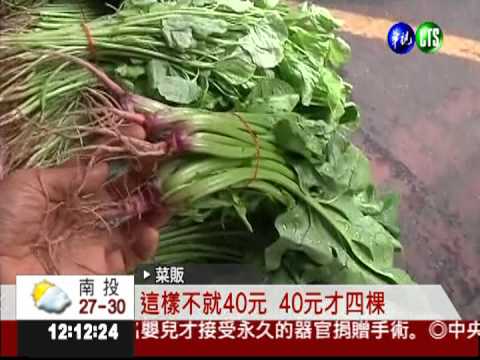 豪雨打亂菜價! 菠菜每斤破百元
