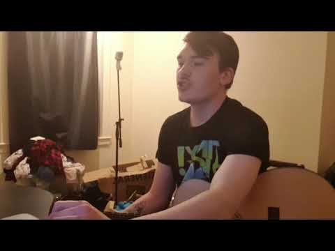 Fall Out Boy - Champion (Acoustic Cover)