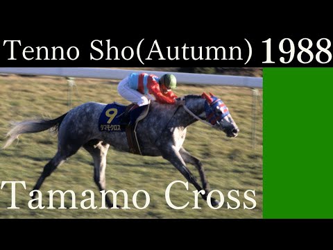 Tamamo Cross VS Oguri Cap - Tenno Sho (Autumn) 1988 G1