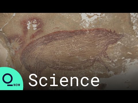 Scientists have discovered the world's oldest known animal cave painting in Indonesia