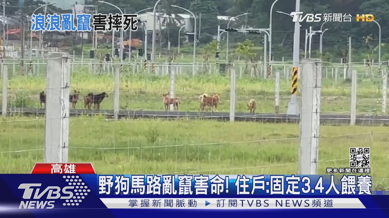端午前採買遇黑狗突竄出！70歲嬤重摔亡