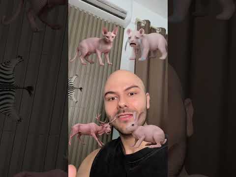 ANIMAL COLORIDO EXISTE? 🤔😂