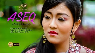 Download lagu ASEQ @AlungPro mp3