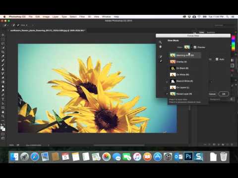 &#x202a;28- PhotoShop CC|  fous area&#x202c;&rlm;