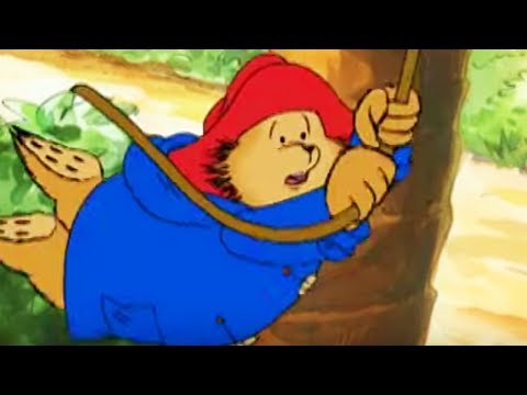 The Adventures of Paddington Bear – Paddington in the Galapagos | Classic Cartoons for Kids HD - Kids TV Series, Kingdom Kids Zone - Paddington Bear - WildBrain