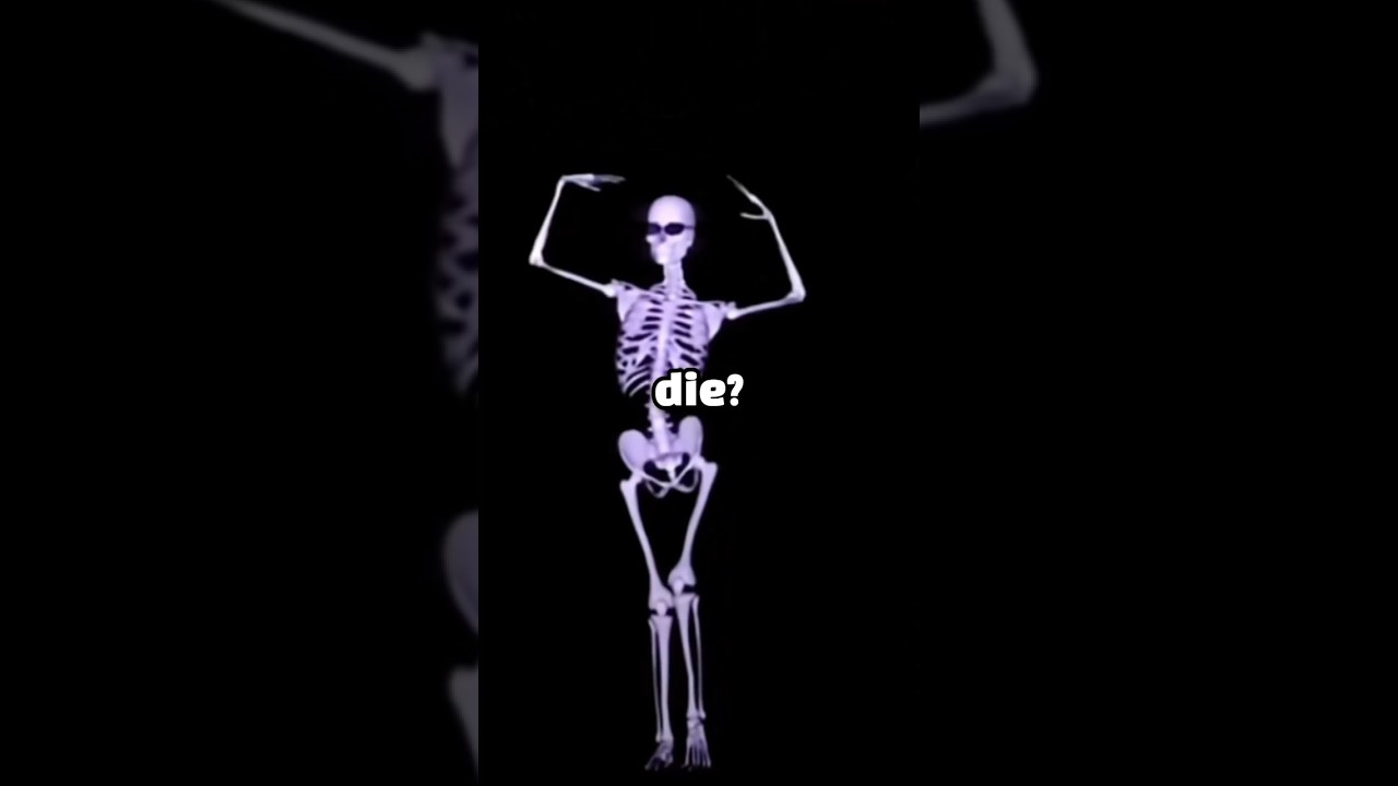 Did you know?                                                         #meme #fyp