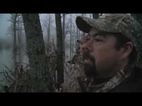 PSL Wildlife Inc.flv