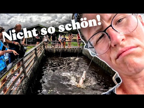 Manaus 2. Tour| Hat uns nicht gefallen| Brasilien| Weltreise Vlog #100