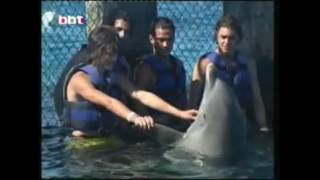 Scandal Brand New Wave audio Rebelde video