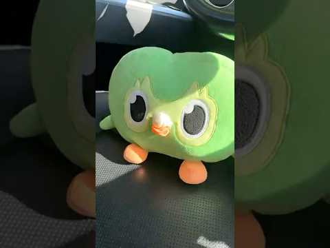 Viral Duo Owl Funny IRL Chaos Moments 😱 Totally Wild Fun