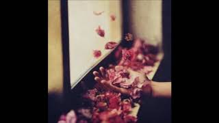 Petre Inspirescu - Miroslav 3 [MM211]