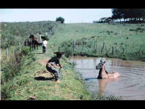 De Queixo E De Cacho Atado - Henrique Abero