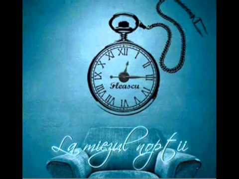 Fleascu - Un sfert de secol