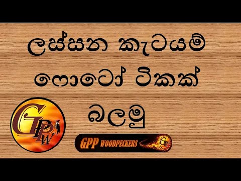 Sri Lankan Woodcarving collection | Gpp woodpeckers #woodcarving