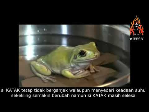 Kisah Katak dan ZONE SELESA (COMFORT ZONE) Kisah Motivasi