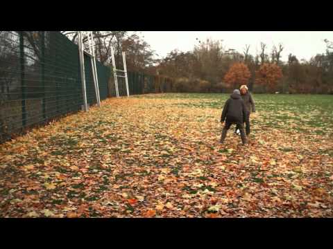 Wegweiser Demenz - In guten wie in schlechten Zeiten