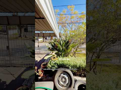 Video de YouTube - Casa en Venta de 3 dormitorios  en Sayago, Montevideo