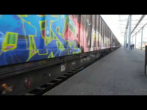 Lema 024-5 a companiei LTE RAIL trece pe directa cu un tren de habiss-uri