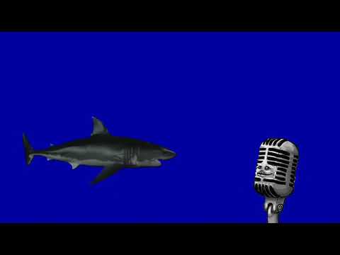 Khontkar FT Grogi Gelemem