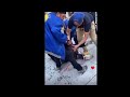 Guy With No Shame Sticks Finger Up A Dogs While Pit Bull Attacks Yet Again