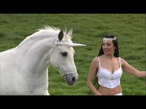 132° Premio Pisa - Trofeo ITM: lo spettacolo di Laura Magic Horse Show