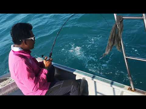 Stephano 201 vs 10 kilo gerong belang