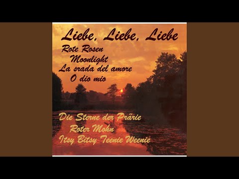 Du und ich im Mondenschein (Foxtrot)