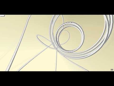 Nejzajímavější Weby s Nakashim - díl:. 6 - Létající Špageta [CZ]