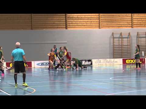 MNBR Sluttspillfinale damer 2014/15, NTNUI - Freidig