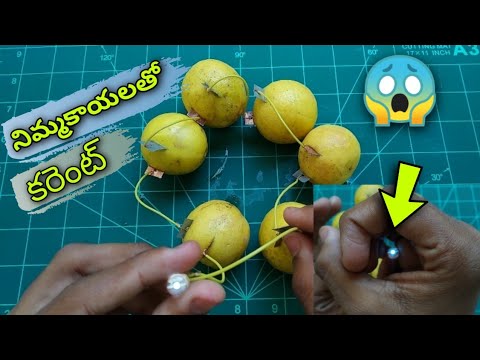 Electricity with lemons experiment - energy with lemons