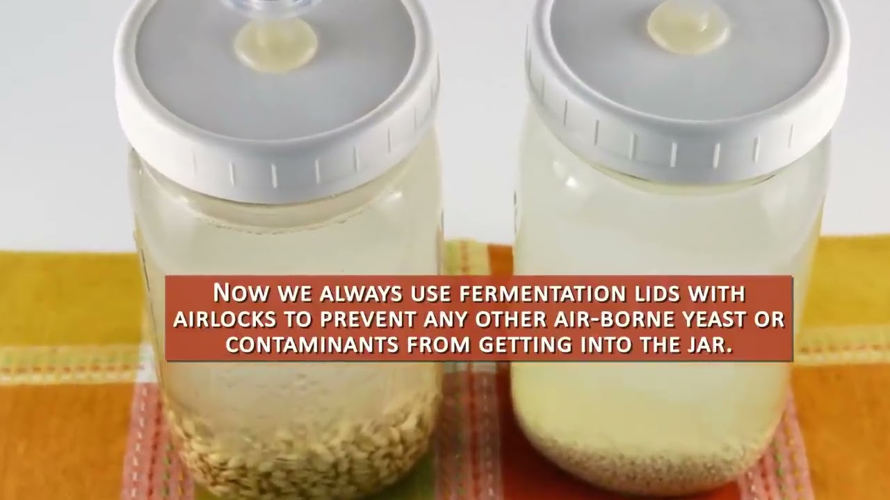 Rejuvelac Recipe and Benefits, Easy DIY Probiotic Drink ---Daniel Milland Okitoi