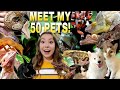 Meet All Of My Pets! 50+ Animals!
