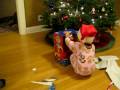 Opening Elmo