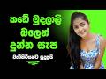 කඩේ මුදලාලි දුන්න සැප Sinhala Keti Katha New Short Stories Ketik