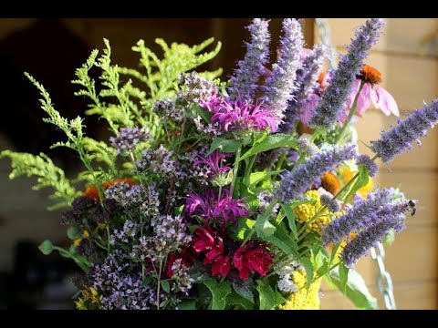 Danutė Neimontaitė. Tau jaunam