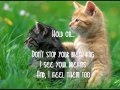 Hold On by David Choi lyrics 