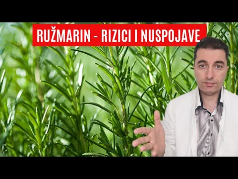 Kako RUŽMARIN može pogoršati Vaše zdravlje i zašto ga ne smijete koristiti?