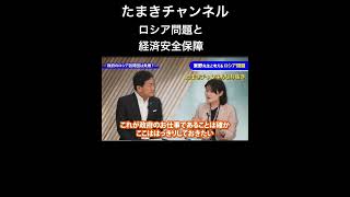 ロシア問題と経済安全保障【たまきチャンネル切り抜き】#玉木雄一郎 #たまきチャンネル #国民民主党 #東野篤子筑波大教授
