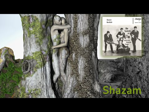 Die Sputniks mit "Shazam" in einem öffentlichen Mitschnitt