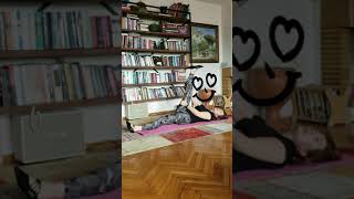 Home workout 2