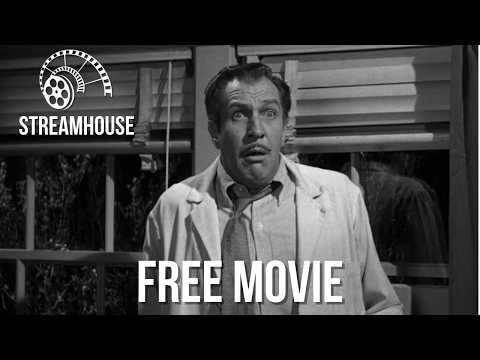 The Experiment That Turned Screams into Survival | FREE MOVIE