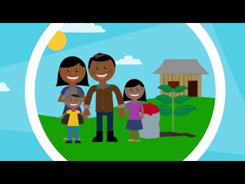Support Sustainability for Nicaraguan Farmers