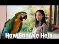 How To Educate People To Take Interest In Animal Welfare