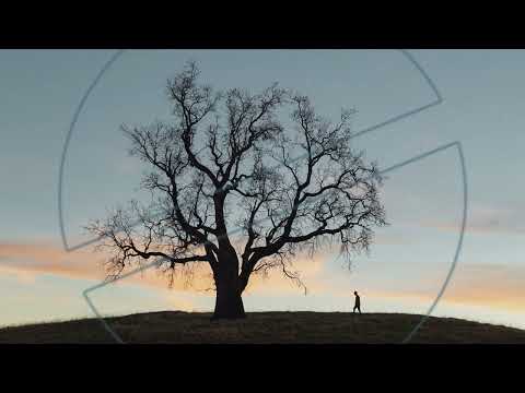 Arensky & Hayvain - Bring Me Down (feat. Idun Nicoline)