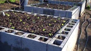 Raised Bed Gardening at its Finest 2-18-2010